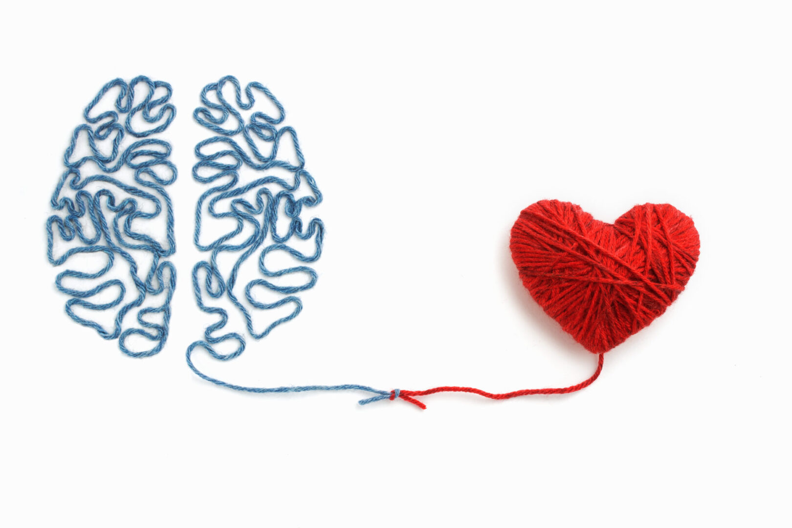 A brain and a heart made of string, connected by a single thread